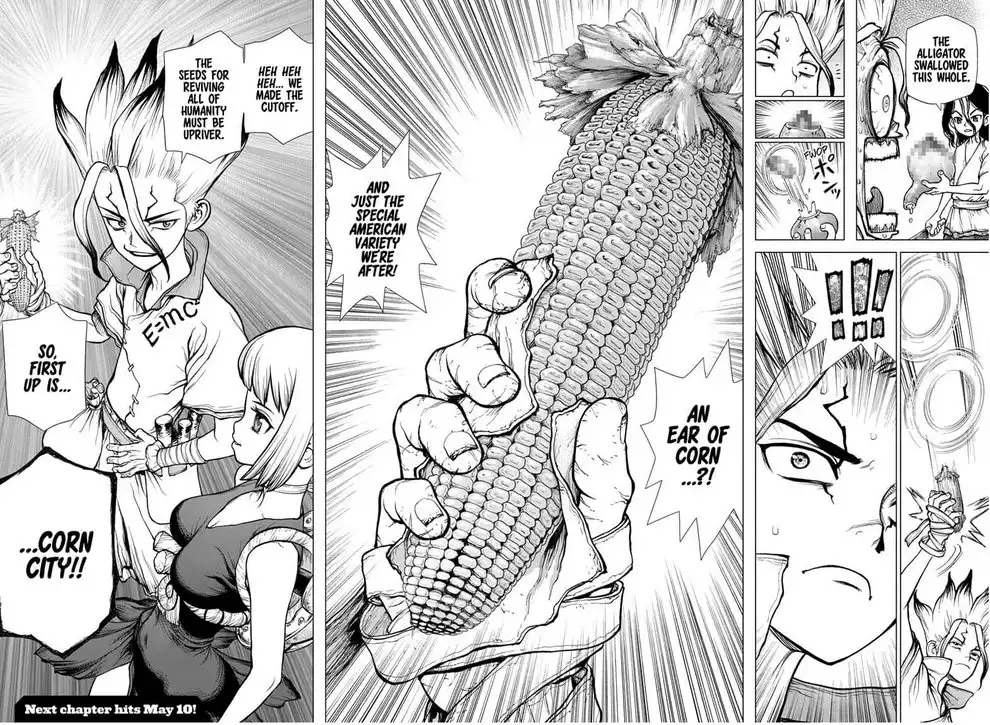 Dr. Stone Chapter 148 14